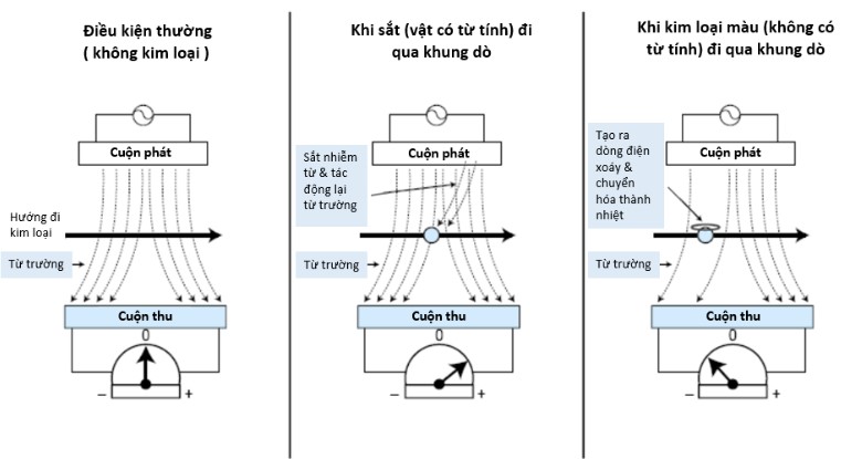 Sơ đồ nguyên lý hoạt động của máy dò kim loại